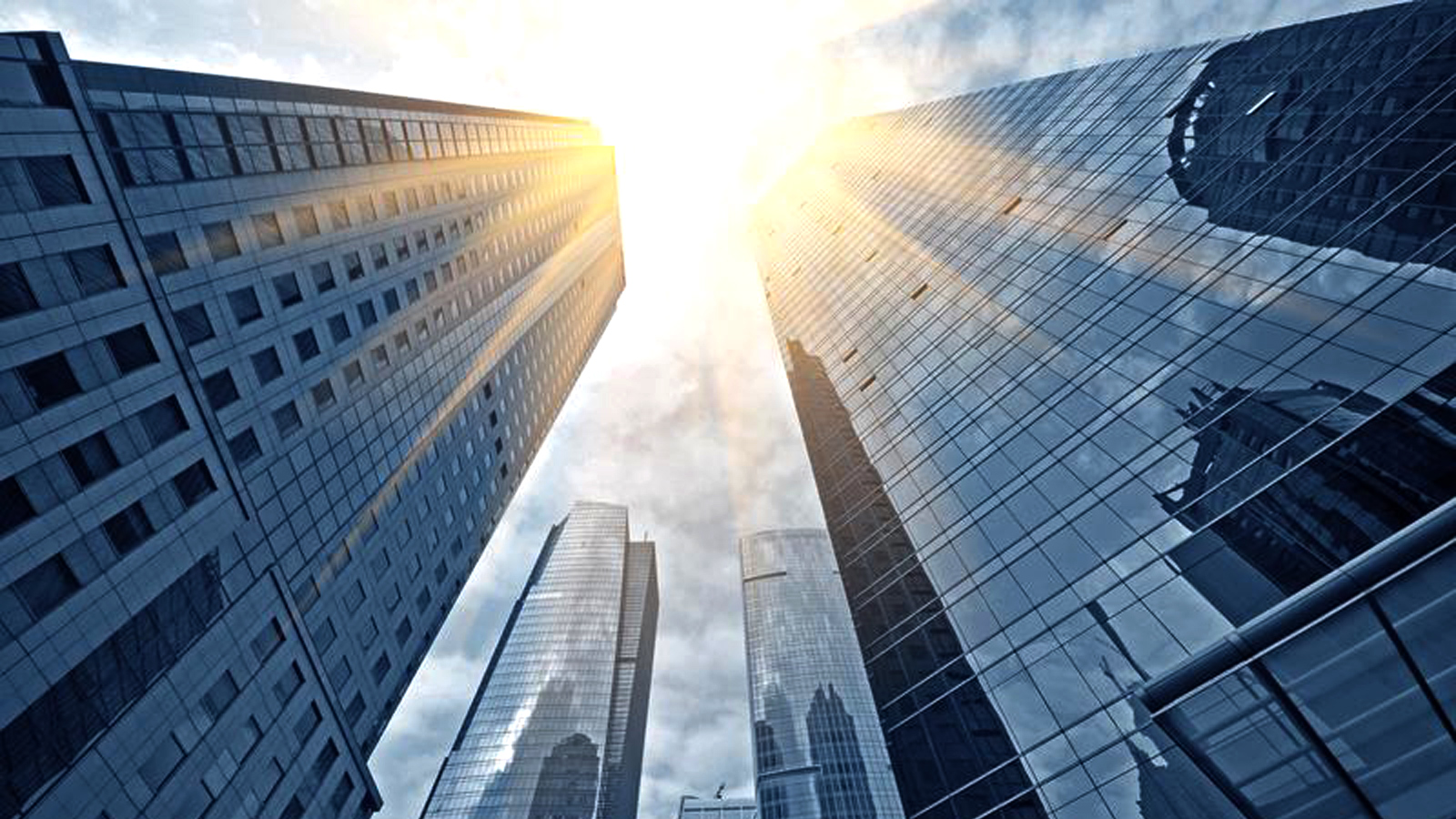 View of tall skyscrapers from the ground. 